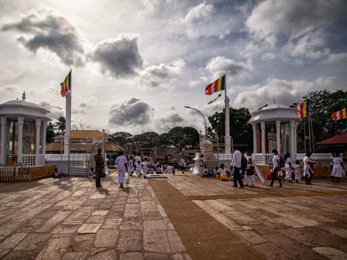 Tag 11 Anuradhapura – Negombo