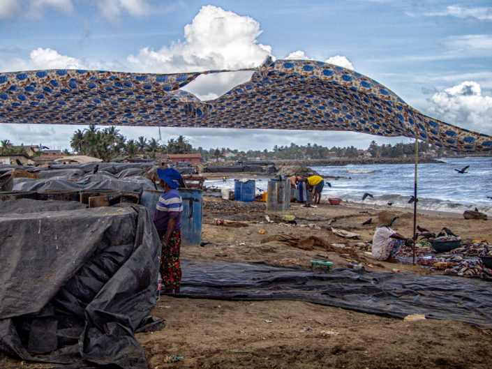 Tag 12 Negombo – Fischmarkt