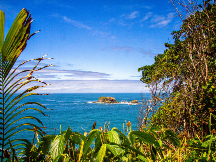 Costa Rica – Tag 3 – Manuel Antonio National Park