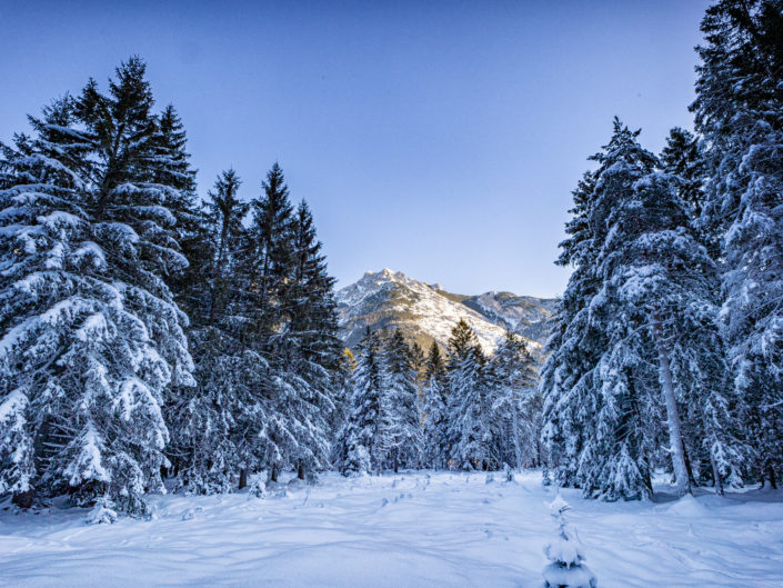 Von Mittenwald nach Scharnitz, über das Naturschutzgebiet Riedboden 2024