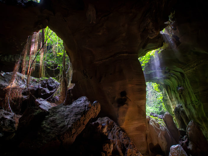 Tag 8 - Gunung Leuser Nationalpark - Bat Cave