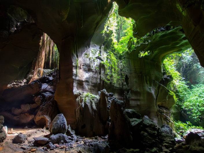 Tag 8 - Gunung Leuser Nationalpark - Bat Cave