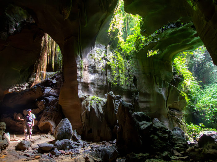 Tag 8 - Gunung Leuser Nationalpark - Bat Cave