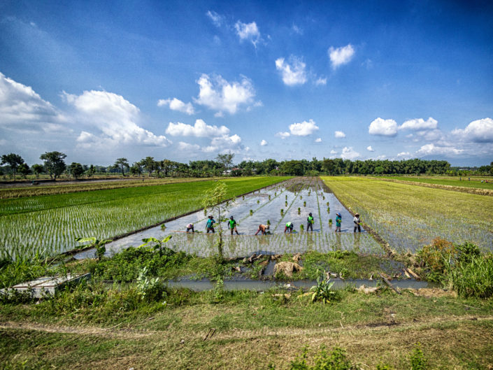 Tag 13 - Zugfahrt zum Bromo