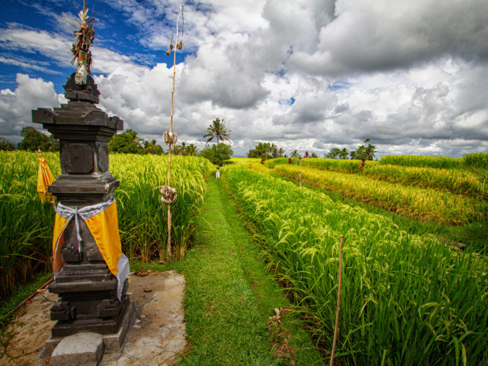 Tag 18 - Barong Tanz, Reisterrassen Jatiluwih, Danu Bratan Tempel